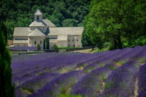 Business class flights to Europe