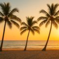Best places to visit in December