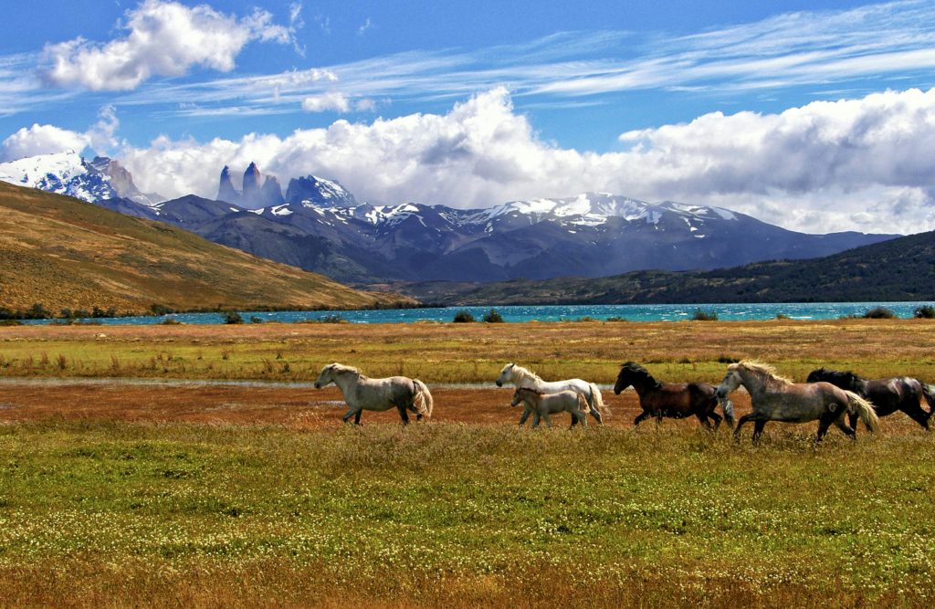 Amazing Torres del Paine in Patagonia (Chile)