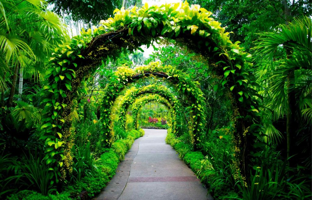 Singapore Botanic Gardens